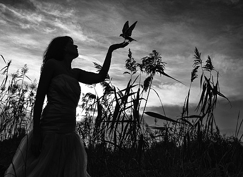 xxx