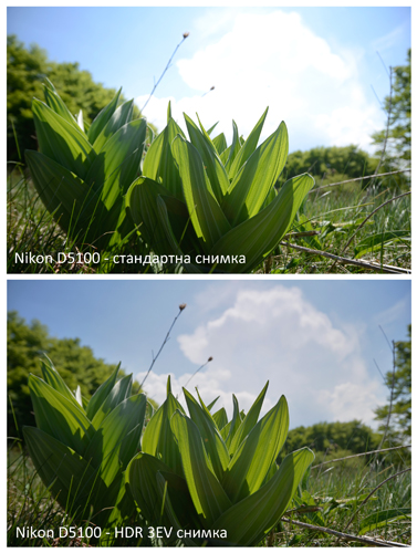 цифров фотоапарат nikon d5100 dslr ревю тестови снимки