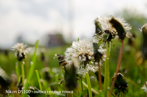 цифров фотоапарат nikon d5100 dslr ревю тестови снимки