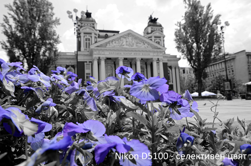 цифров фотоапарат nikon d5100 dslr ревю тестови снимки