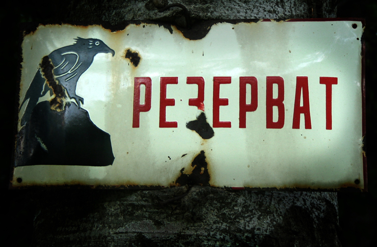 брадат лешояд